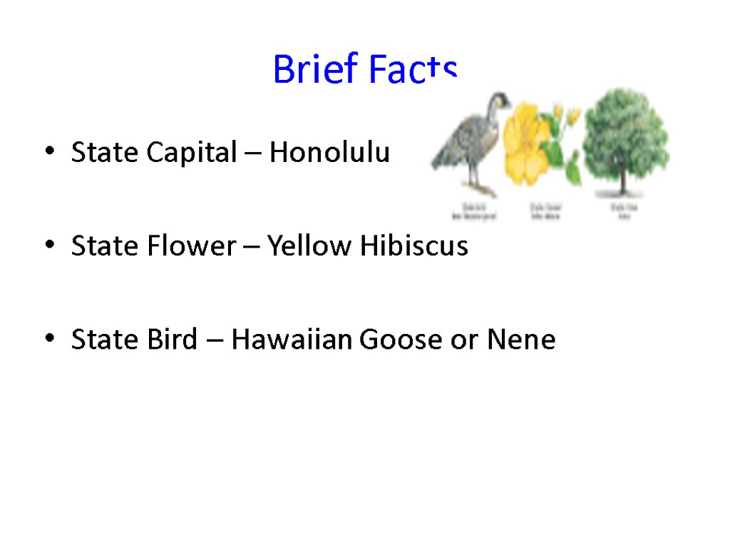 Brief Facts State Capital – Honolulu State Flower – Yellow Hibiscus State Bird –